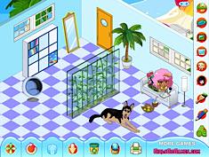 My New Room My New Room